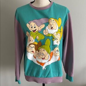 NEW Disney Cakeworthy Seven Dwarfs Sweatshirt, Small